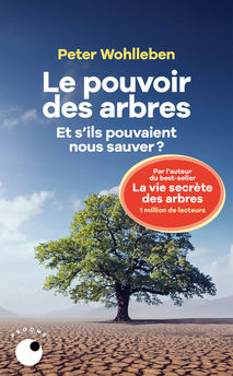 POUVOIR DES ARBRES